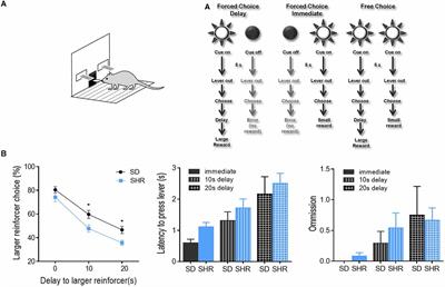 The distinct role of orbitofrontal and medial prefrontal cortex in encoding impulsive choices in an animal model of attention deficit hyperactivity disorder